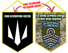 Вимпел 59 ОШБр Сили Безпілотних Систем піксель
